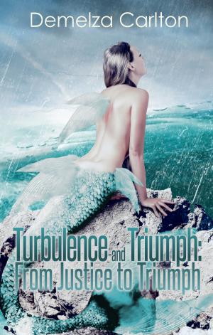 Book cover of Turbulence and Triumph: From Justice to Triumph