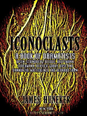 Cover of the book Iconoclasts by Erin Hart