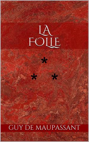 bigCover of the book La Folle by 