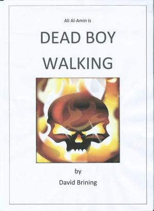 Cover of the book Dead Boy Walking by Andrew Bergman