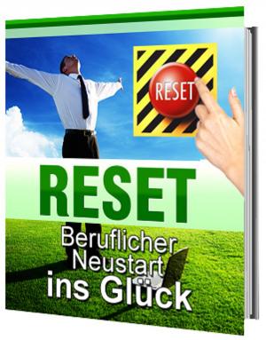 Cover of the book RESET by Jochen Krinsken