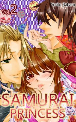 Cover of the book SAMURAI Princess Vol.2 (TL) by VZ Fauchard