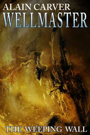 Cover of the book Wellmaster by V.K. Scott