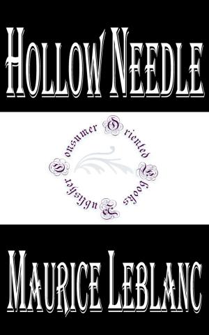 Book cover of Hollow Needle