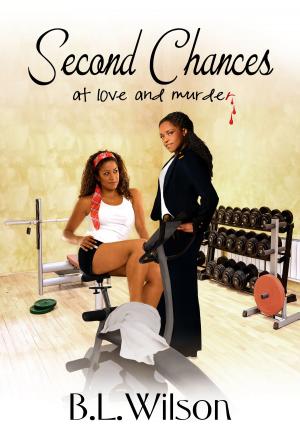 Cover of the book Second Chances...at love and murder? by Katherine Bogle