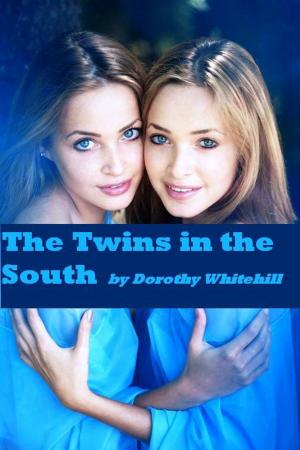 Cover of The Twins in the South (Illustrated)