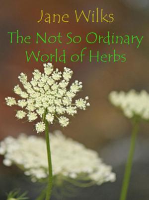 Cover of The Not So Ordinary World of Herbs