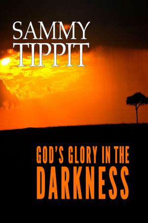 Cover of the book God's Glory in the Darkness by Ed Morris