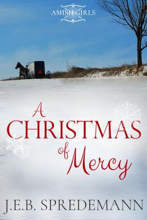 Cover of the book A Christmas of Mercy by J.E.B. Spredemann