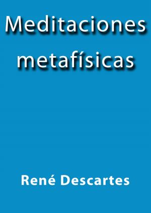 Cover of the book Meditaciones metafísicas by Friedrich Schiller