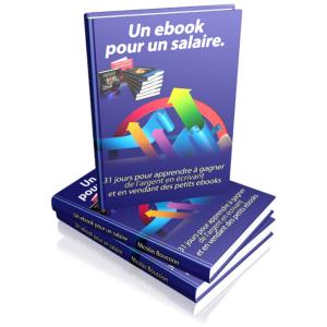 Cover of the book How to write your own profitable Ebook !! by benoit dubuisson