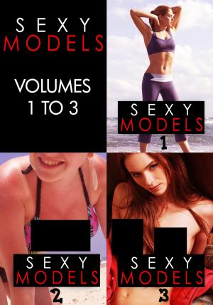 Cover of Sexy Models Collection 1 - Volumes 1 to 3 - An erotic photo book