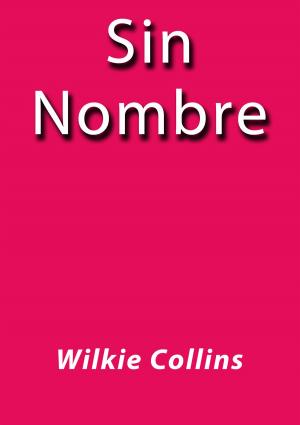 Cover of the book Sin nombre by Anónimo