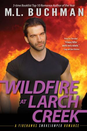 Book cover of Wildfire at Larch Creek