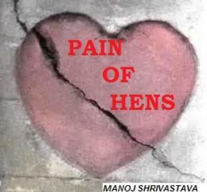 Book cover of PAIN OF HENS