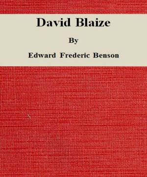 Cover of the book David Blaize by Thomas Elbert Vineyard