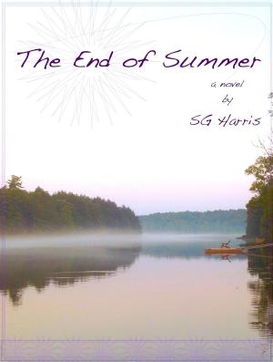 Book cover of The End of Summer