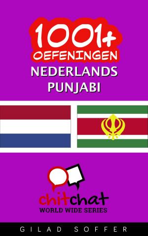 Cover of the book 1001+ oefeningen nederlands - Punjabi by Gilad Soffer