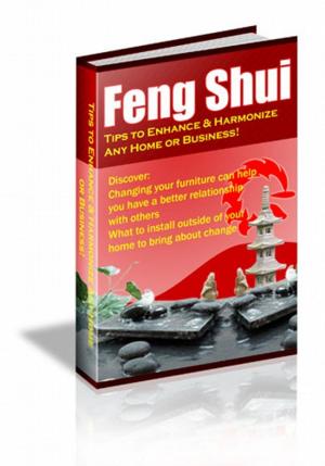 Cover of the book Feng Shui – Tips To Enhance & Harmonize Any Home Or Business by David Jones