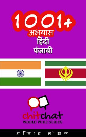 Cover of 1001+ अभ्यास हिंदी - पंजाबी