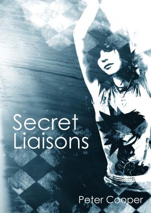 Cover of the book Secret Liaisons - an erotic novel by Amanda Stevens