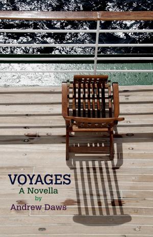 Book cover of VOYAGES