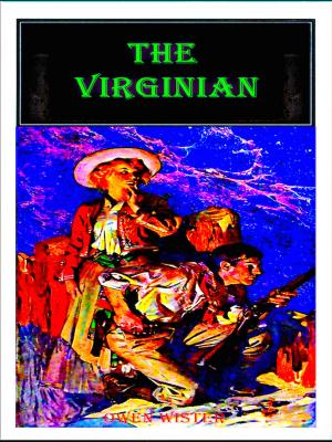 Cover of the book The Virginian by Mary Ellen Johnson