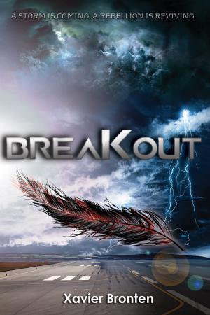 Cover of the book Breakout by Nick R. Williams