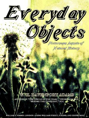 Book cover of Everyday Objects