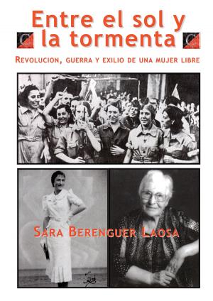 Book cover of ENTRE EL SOL Y LA TORMENTA