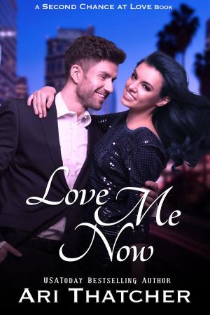 Cover of the book Love Me Now by Aileen Fish