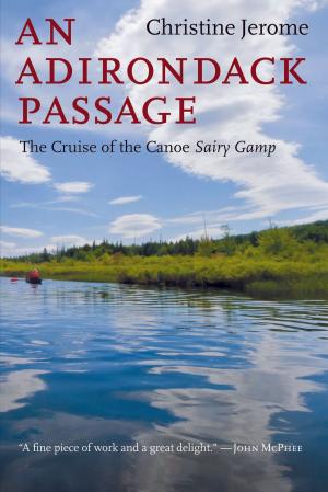 Cover of the book An Adirondack Passage by Max Wawrzyniak III