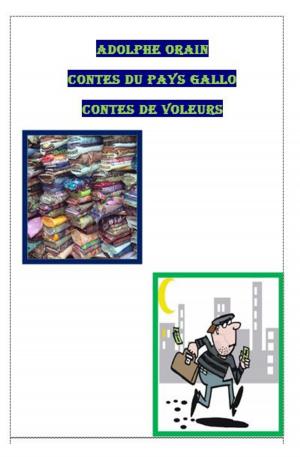 bigCover of the book Contes du Pays Gallo 4 by 