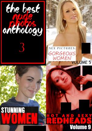 Book cover of The Best Nude Photos Anthology 3 - 3 books in one