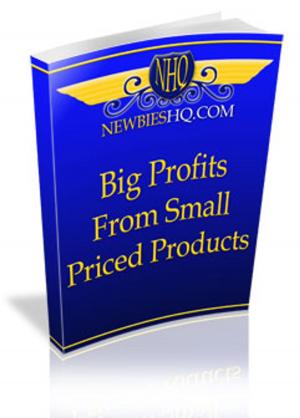 Cover of the book Big Profits From Small Priced Products by Idrees Farooq