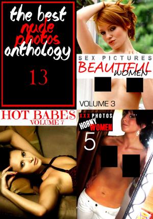 Book cover of The Best Nude Photos Anthology 13 - 3 books in one