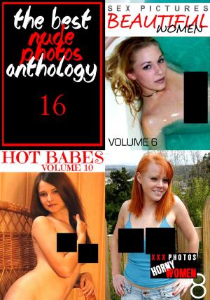 Cover of The Best Nude Photos Anthology 16 - 3 books in one