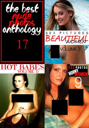 Book cover of The Best Nude Photos Anthology 17 - 3 books in one