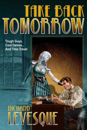 Cover of the book Take Back Tomorrow by AB Stonebridge