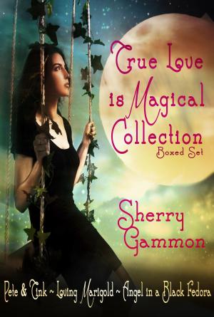 Cover of the book True Love is Magical Collection by Jeff Mariotte