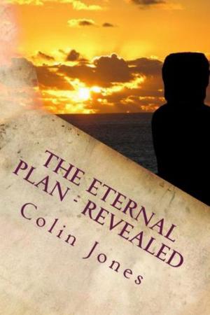 Cover of The Eternal Plan - Revealed