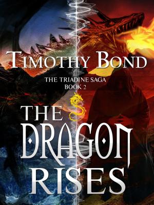 Cover of the book The Dragon Rises by Michael Faunce-Brown