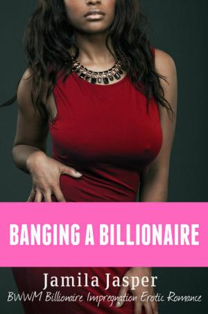 Book cover of Banging A Billionaire