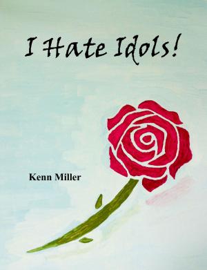 bigCover of the book I Hate Idols by 