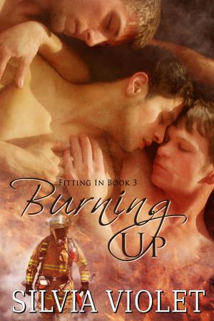 Cover of the book Burning Up by Silvia Violet