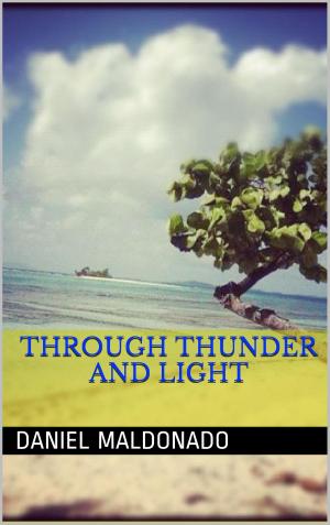 Cover of the book Through Thunder and Light by A. Poet
