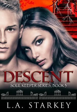 Cover of the book Descent by WL Knightly