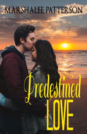 Cover of the book Predestined love by Adria J. Cimino
