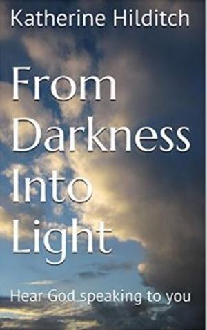 Cover of the book From Darkness Into Light by Katherine Hilditch