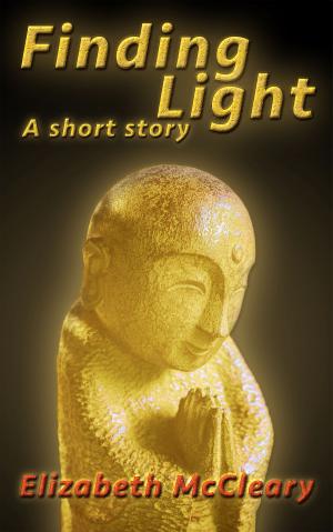 Book cover of Finding Light